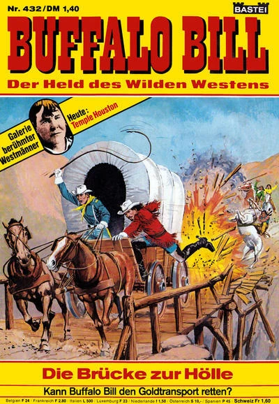 Cover of DIe Brucke zur Holle