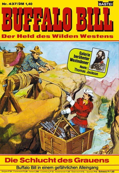 Cover of Die Schlucht des Grauens