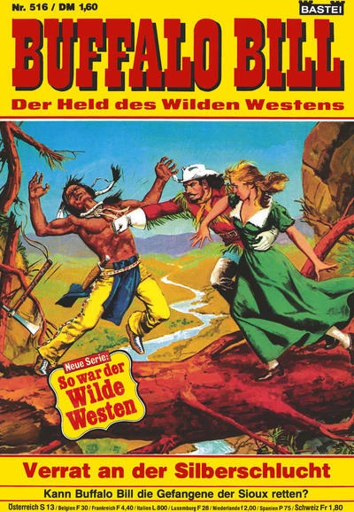 Cover of Verrat in der Silberschlucht