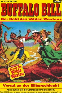 Verrat in der Silberschlucht