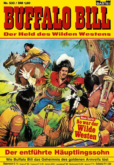Cover of Der entführte Häuptlingssohn