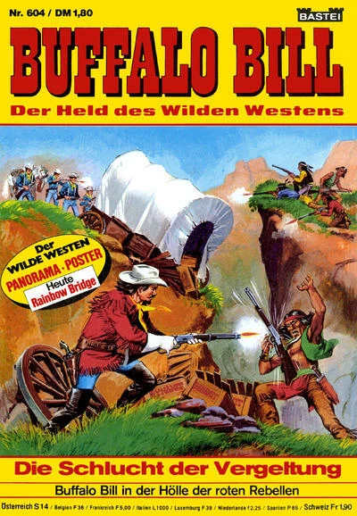 Cover of Die Schlucht der Vergeltung