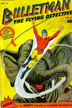 The case of the Vanishing Elephant!