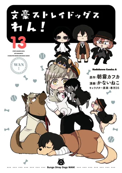 Cover of Vol. 13