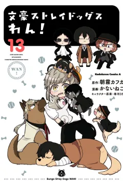 Vol. 13