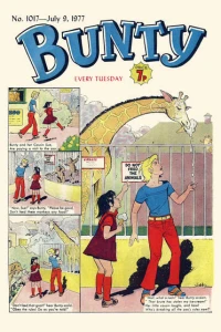 Issue #1017