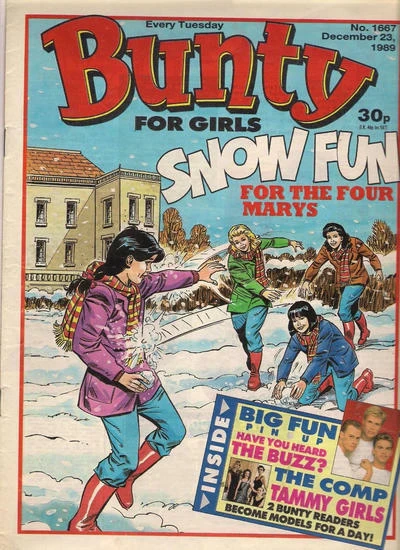 Cover of Snow Fun
