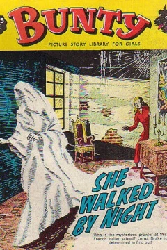 She Walked by Night