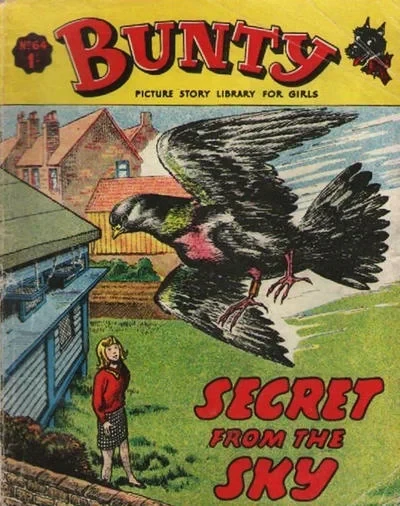 Cover of Secret from the Sky