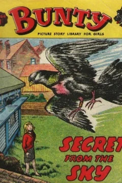 Secret from the Sky
