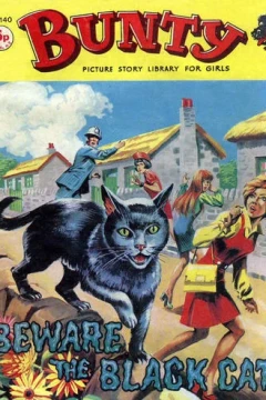 Beware the Black Cat!