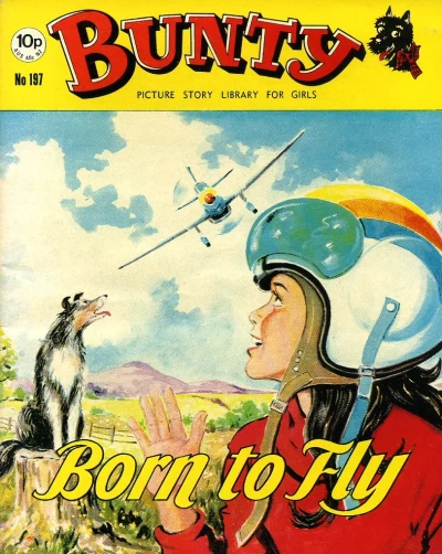 Cover of Born to Fly