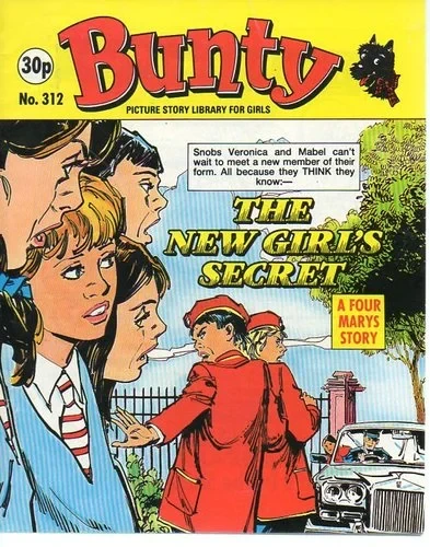 Cover of The New Girl's Secret