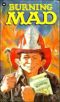 Cover of Burning Mad