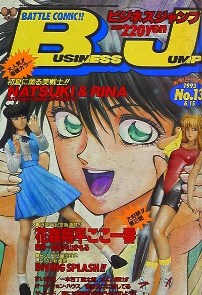 Cover of No. 13, 1993