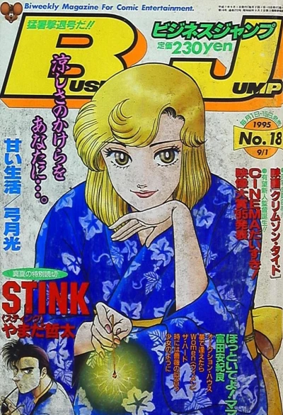 Cover of No. 18, 1995