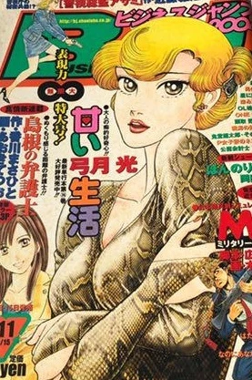 Cover of No. 11, 2004