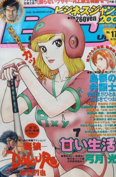 Cover of No. 17, 2004