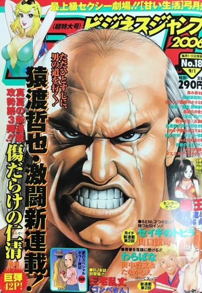 Cover of No. 18, 2006