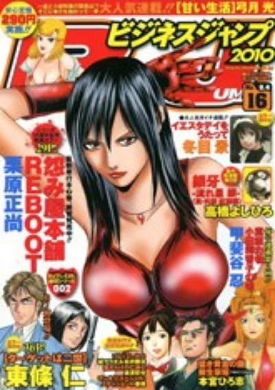 Cover of No. 16, 2010