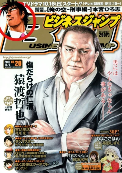 Cover of No. 20, 2011