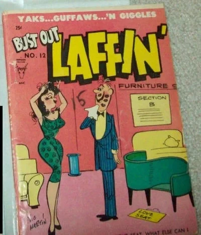 Cover of Issue #12
