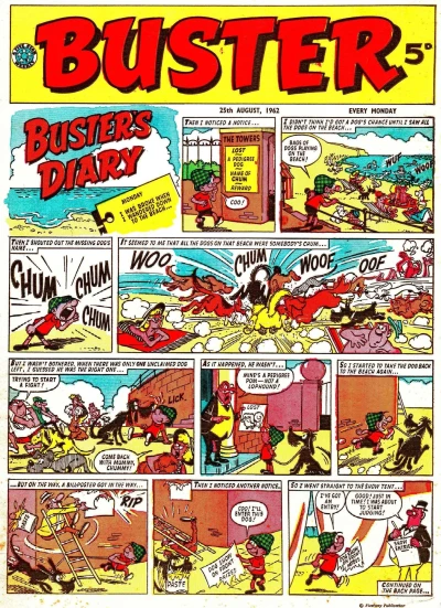 Cover of Issue #19620825