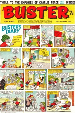 Issue #19670930