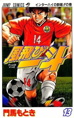 Cover of Vol. 13