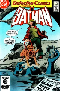 By Darkness Masked ; Fair Raid