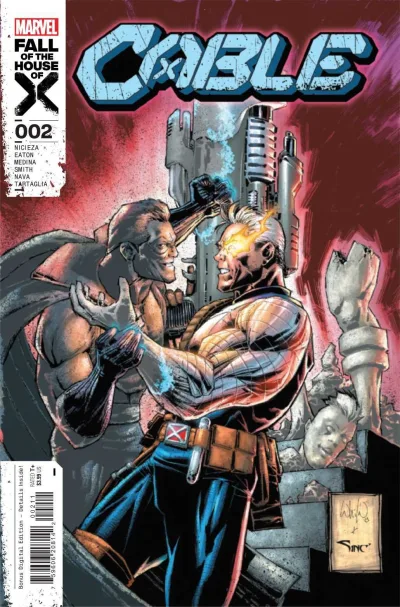 Cover of Stone Cold
