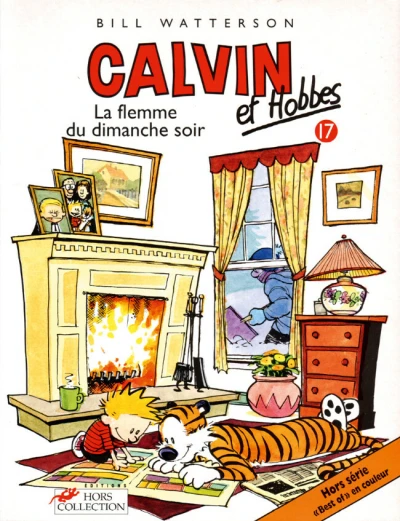 Cover of La flemme du dimanche soir