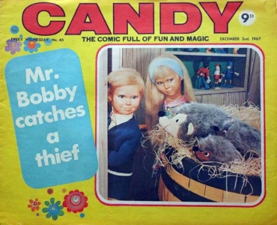 Cover of Mr. Bobby Catches a Thief