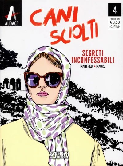 Cover of Segreti inconfessabili