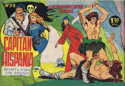 Cover of Issue #25