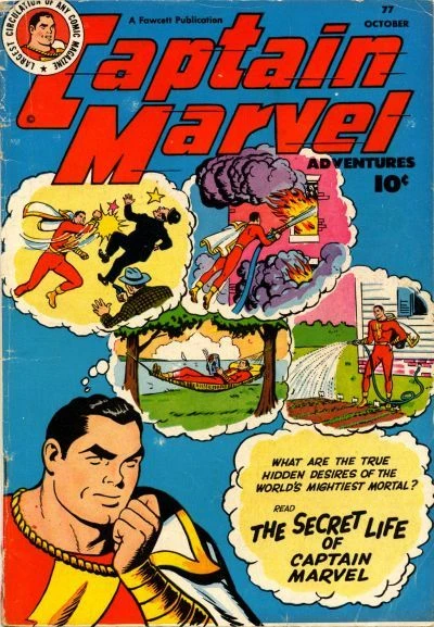 Cover of The Secret Life of Captain Marvel