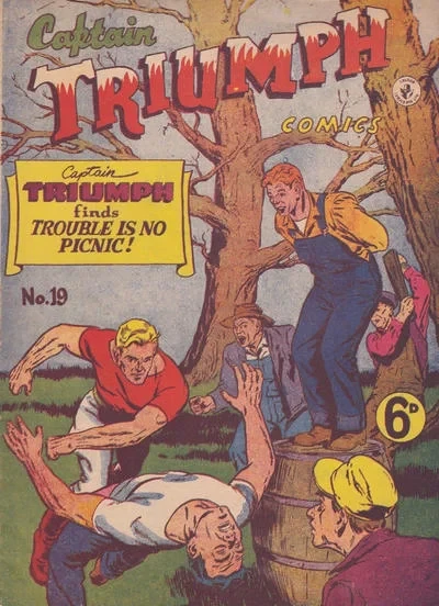 Cover of Trouble Is no Picnic
