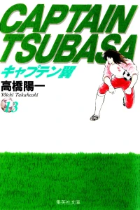 Vol. 13