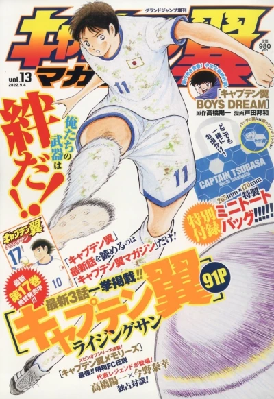 Cover of Vol. 13