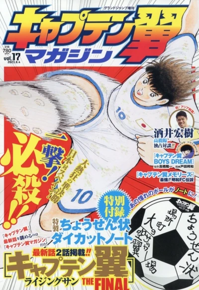 Cover of Vol. 17