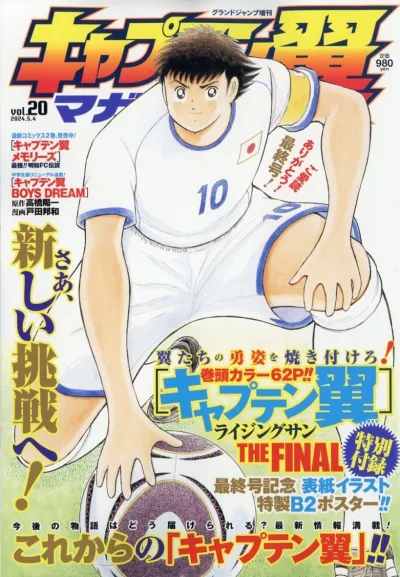 Cover of Vol. 20