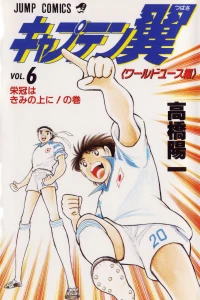 Vol. 6