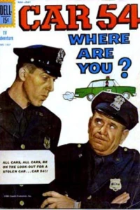 Car 54, Where Are You?