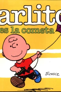 No sueltes la cometa