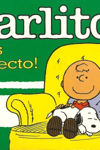 ¡Eres perfecto!