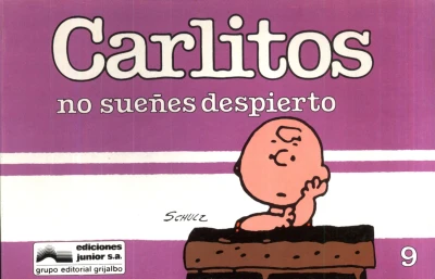 Cover of No sueñes despierto