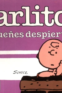 No sueñes despierto