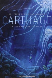 Les Monolithes de Koubé