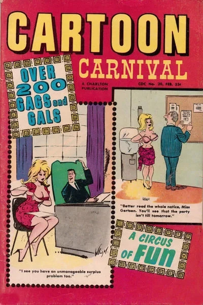 Cover of Issue #20