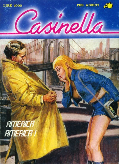 Cover of America America!
